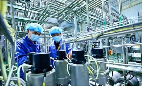 蘭州新區國慶假期生產不打烊，全力趕制訂單保障西安網絡需求