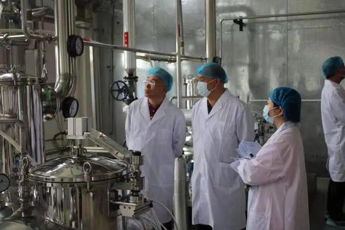 同仁堂興安灤南分公司順利通過保健食品生產許可現場核查，生物制藥研發生產再添新翼