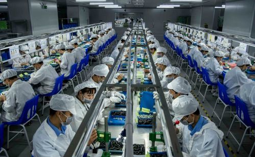 泡沫上的藍海 生物制藥企業被忽視的真相