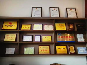 中越股份 企業(yè)一站式服務(wù)專家，引領(lǐng)計(jì)算機(jī)信息化時(shí)代